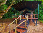 GOMBE-FOREST-LODGE