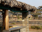 Ndutu-Safari-Lodge