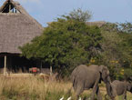 Selous-Safari-Camp