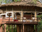 Tarangire-Tree-Tops-Lodge