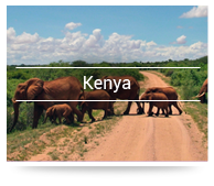 kenya