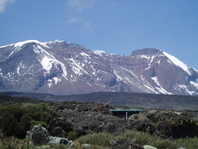 kilimanjaro