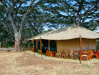 lemala-ngorongoro-camp