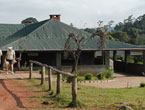 ngorongoro-rhino-lodge