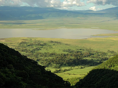 ngorongoro