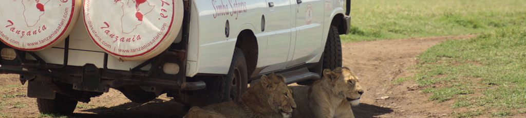 royal_tanzania_safari_banner