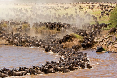 seregeti national park