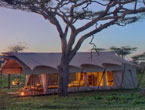 serengeti-under-canvas-Luxury